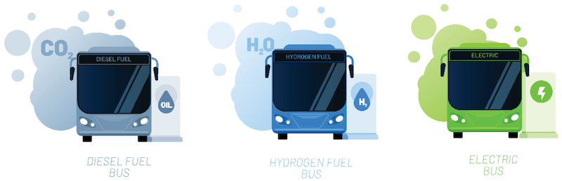 A diagram showing emissions from different types of buses. Carbon dioxide from a diesel fuel bus. Water from a hydrogen electric bus. Nothing from a battery electric bus.