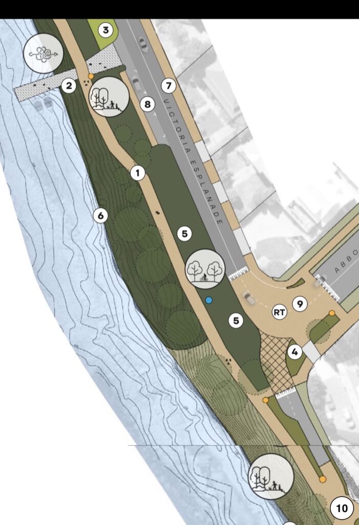 A map showing planned improvements to Victoria Esplanade near Abbott Street including a wider shared path and the closure of Bluff Road.